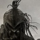 Avatar użytkownika